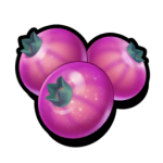 Pink Berries