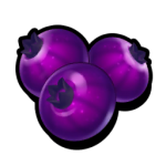 Purple Berries